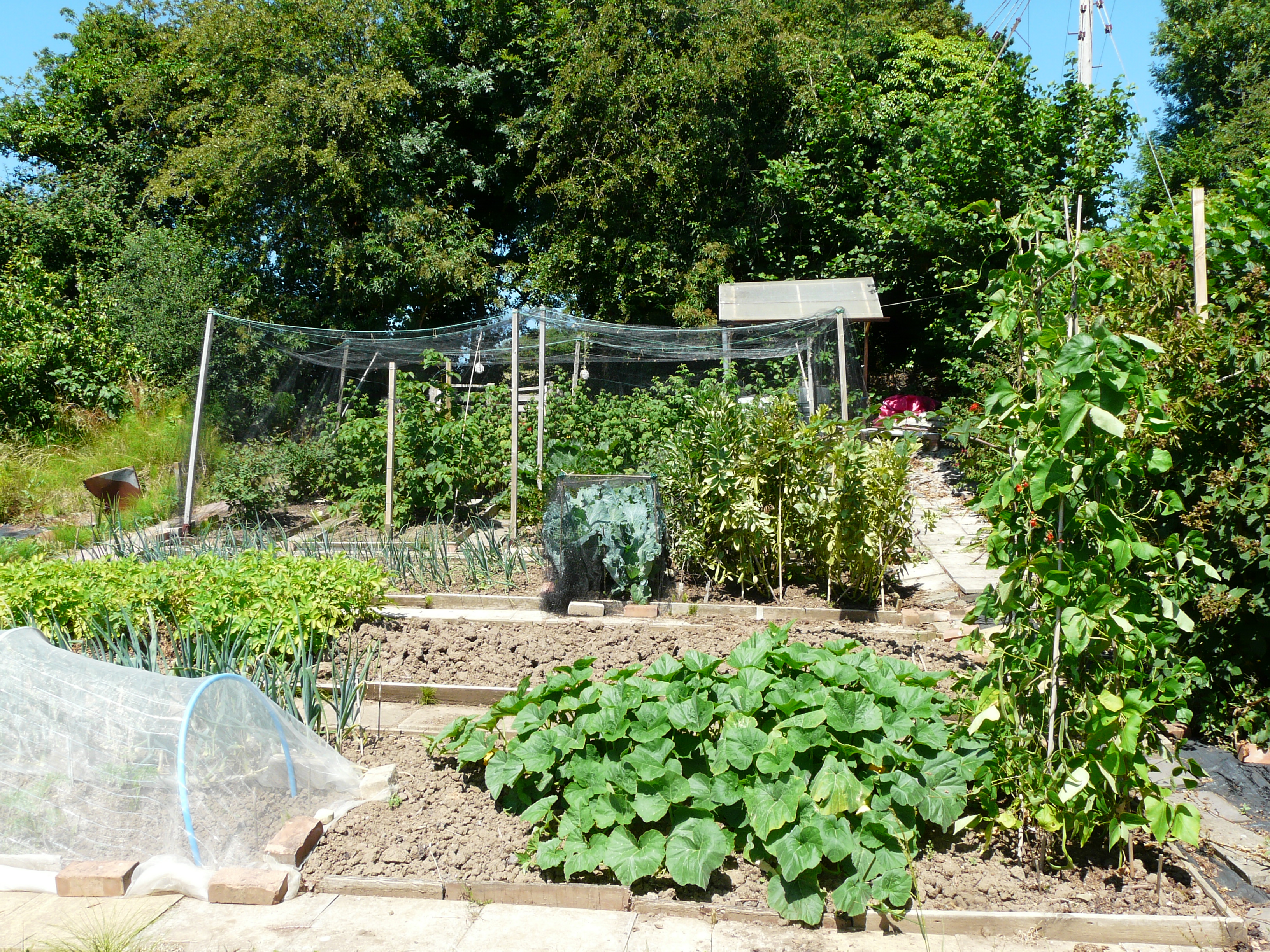 Allotment